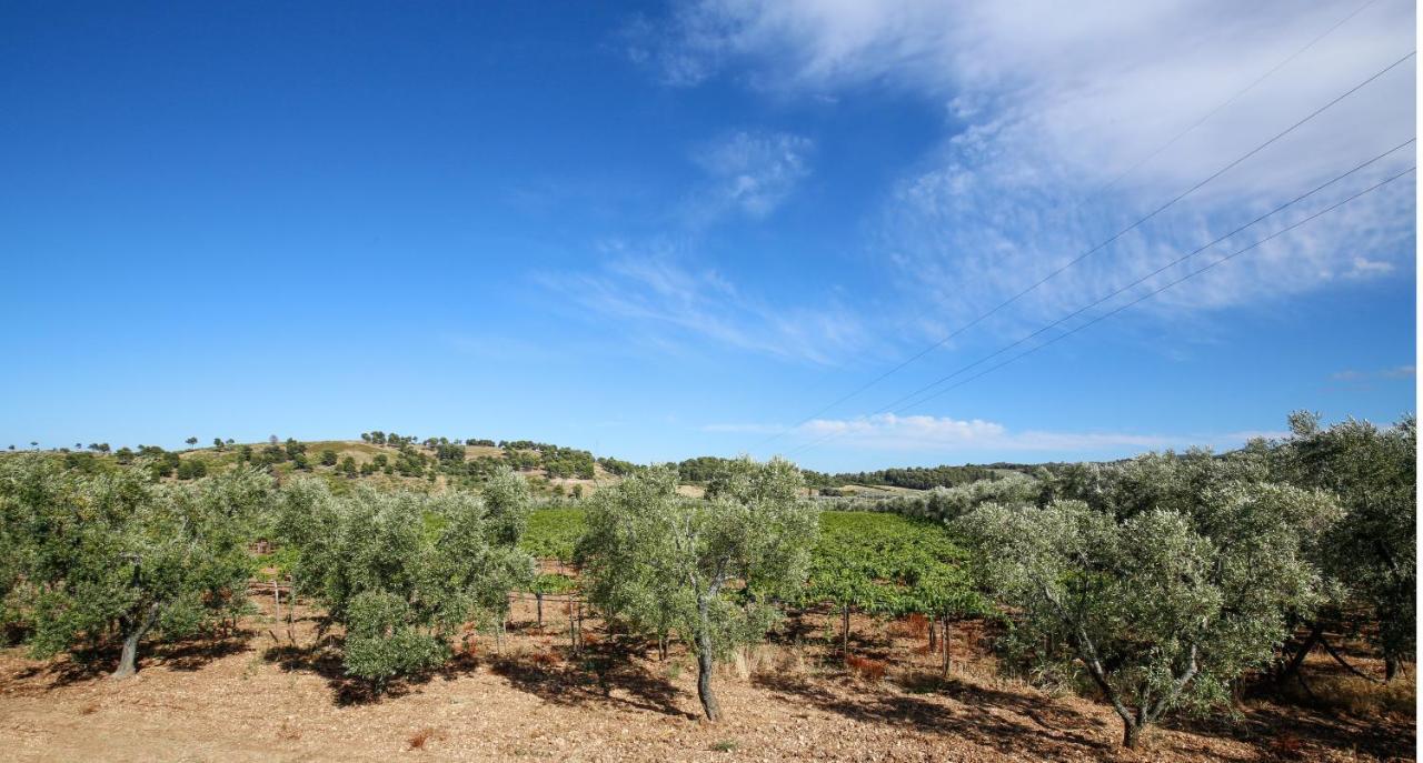 Agriturismo Posta Pastorella Vieste Exteriér fotografie