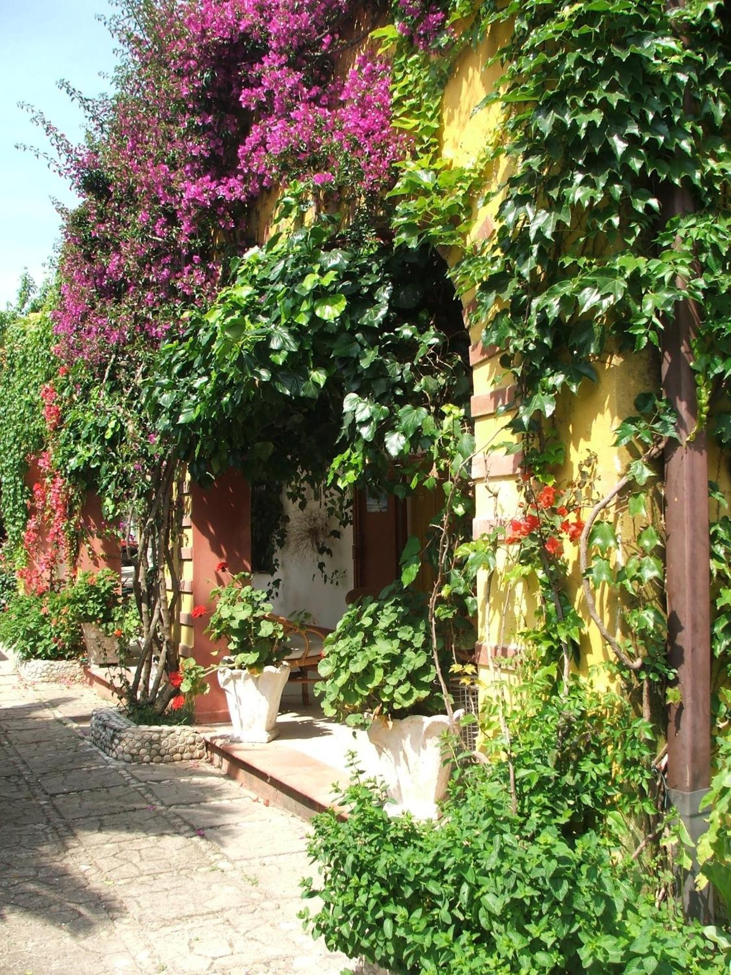 Agriturismo Posta Pastorella Vieste Pokoj fotografie